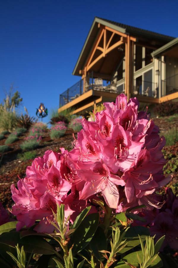 Bella Collina Bed And Breakfast Amity Exteriér fotografie